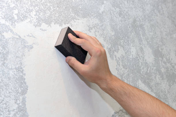 Best Forensic Mold Investigation  in Neillsville, WI