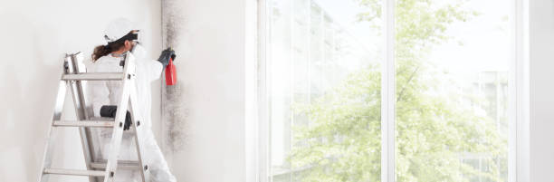 Best HVAC Mold Inspection and Cleaning  in Neillsville, WI