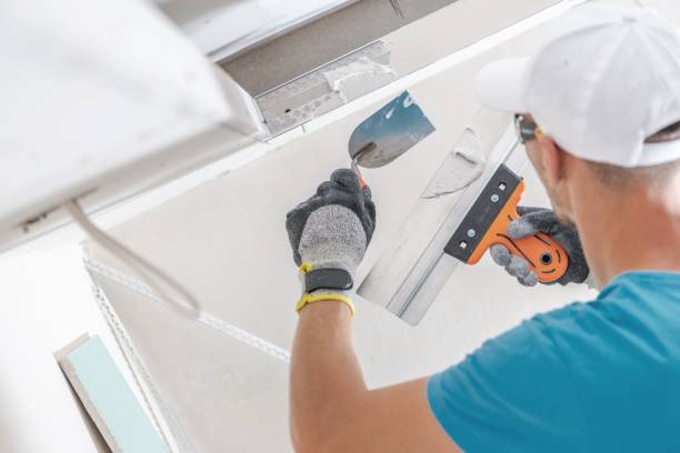 Best Air Quality Testing for Mold Spores  in Neillsville, WI
